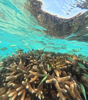 praveg atolls thinnakara lakshadweep