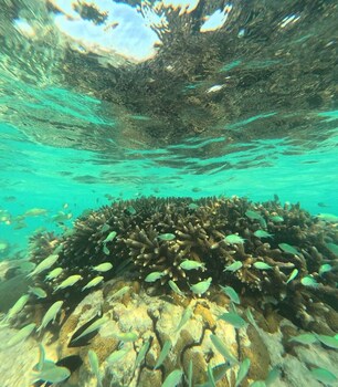 praveg atolls thinnakara lakshadweep