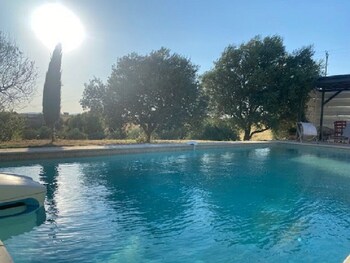 Provence Dodo,,0 star