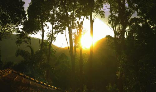 rawana mount view ella
