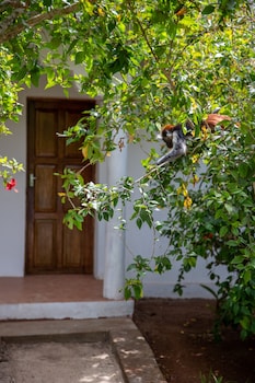 veridiana hotel
