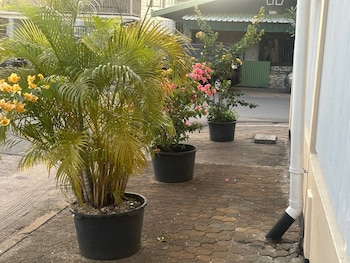 hotel mangueira