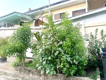 hotel mangueira