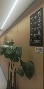 philosopher hotel