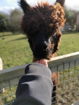 bathway farm