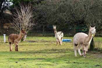 bathway farm