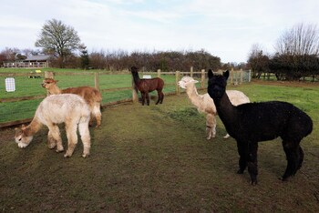 bathway farm