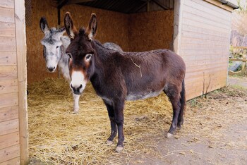 bathway farm