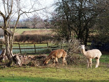 bathway farm