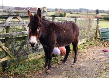 bathway farm