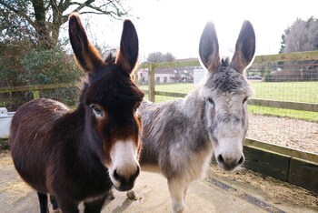bathway farm