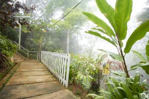 bellevue the penang hill hotel bukit bendera