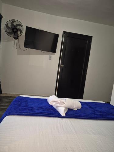 hotel ortega la 33