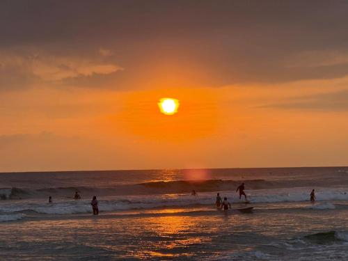 interlanka coast living