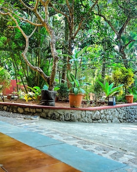 Home City Homestay & Ayurvedic Clinic,,4 star
