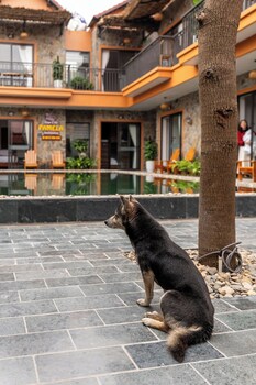 tam coc pamela homestay