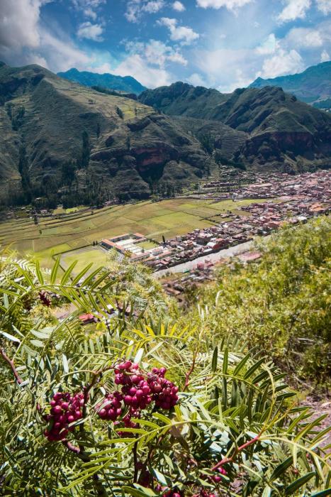 rumi lodge pisac