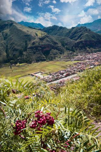 rumi lodge pisac