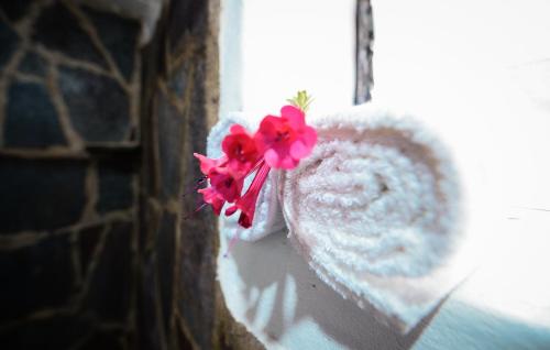 rumi lodge pisac