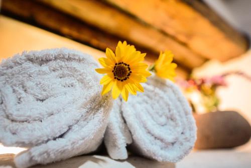 rumi lodge pisac