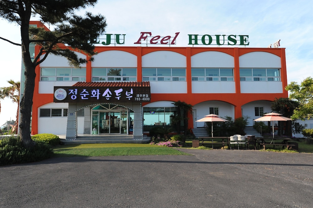 jeju feel house