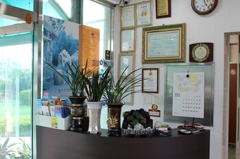 jeju city