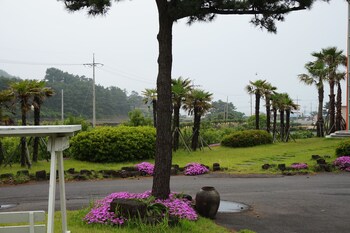 jeju feel house