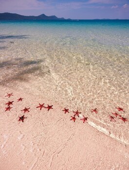 rei gallery phu quoc ocean