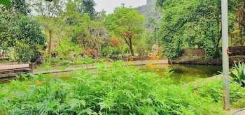hoa lu