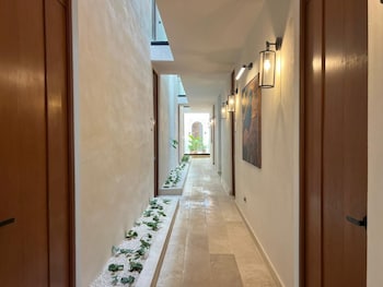 hotel serenata santa lucia merida