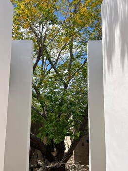 hotel serenata santa lucia merida
