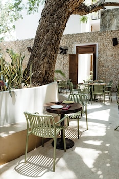hotel serenata santa lucia merida