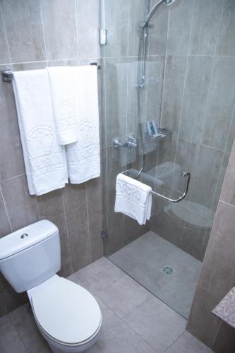 city crown hotel