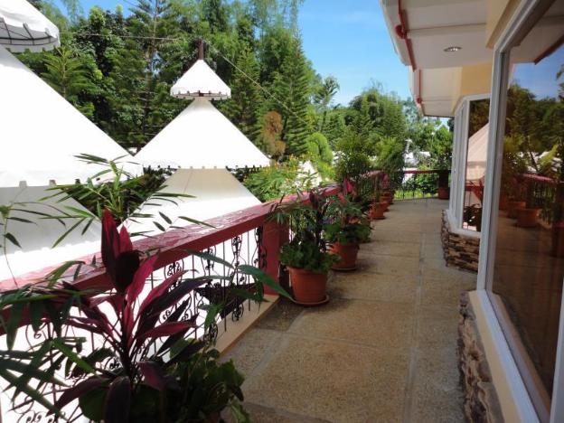 deep forest garden hotel