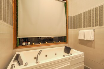 elivaas dilli house one room suits
