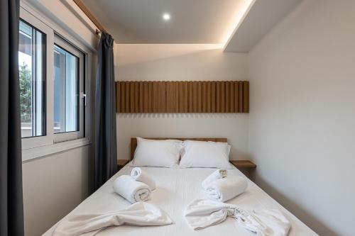 olympiada girni suites