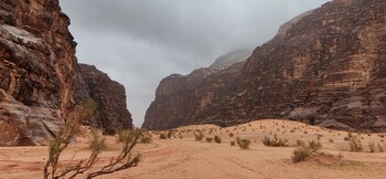 Wadi Rum Adventure Camp,,3 star