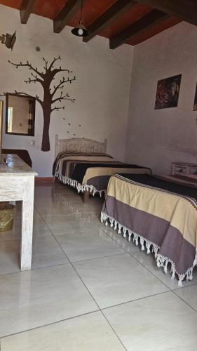 hotel los remedios cholula puebla