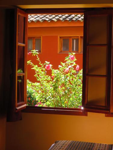tierra viva ollantaytambo