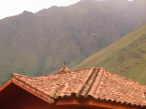 tierra viva ollantaytambo