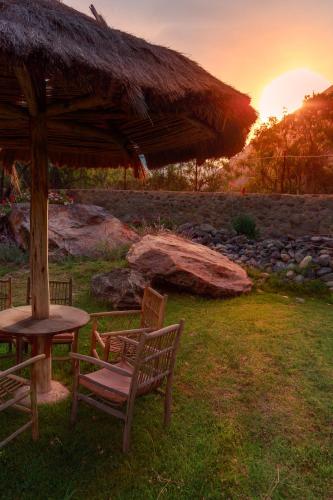 tierra viva ollantaytambo