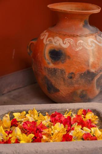 tierra viva ollantaytambo
