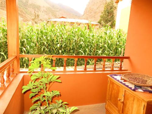 tierra viva ollantaytambo