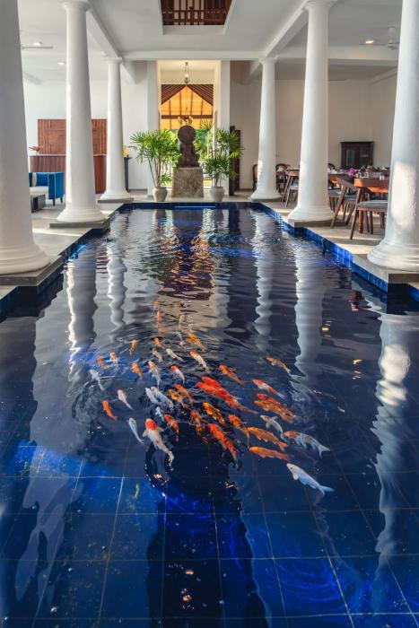 luck nature villas habaraduwa galle