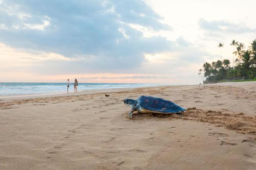 luck nature villas habaraduwa galle