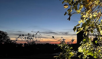 carignan de bordeaux