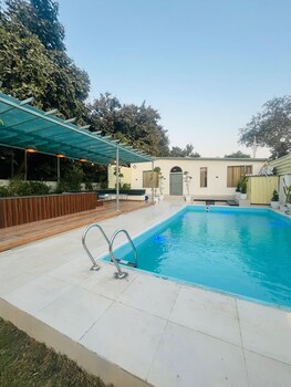 olivine by housiify
