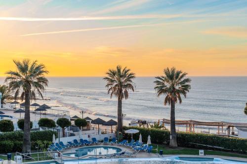 monicca collection oura view suites