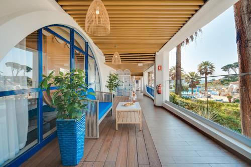 monicca collection oura view suites