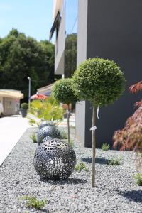 hotel leone